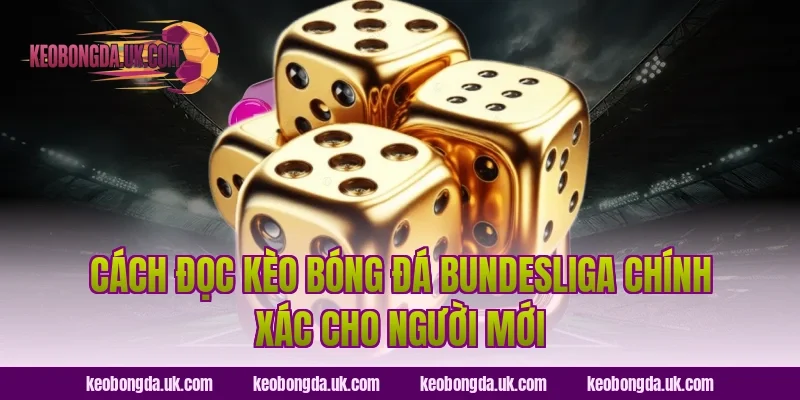 Cách Đọc Kèo Bóng Đá Bundesliga Chính Xác Cho Người Mới