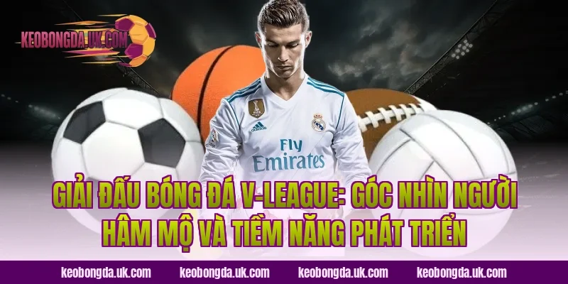 Giải đấu bóng đá V-League: Góc nhìn người hâm mộ và tiềm năng phát triển