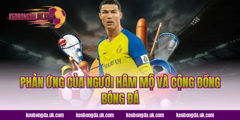 Phản Ứng Của Người Hâm Mộ Và Cộng Đồng Bóng Đá