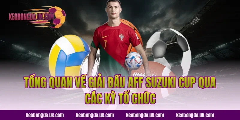 Tổng quan về giải đấu AFF Suzuki Cup qua các kỳ tổ chức